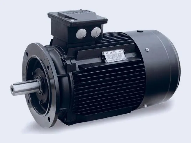 Hoyer flange-mounted three-phase IEC motor