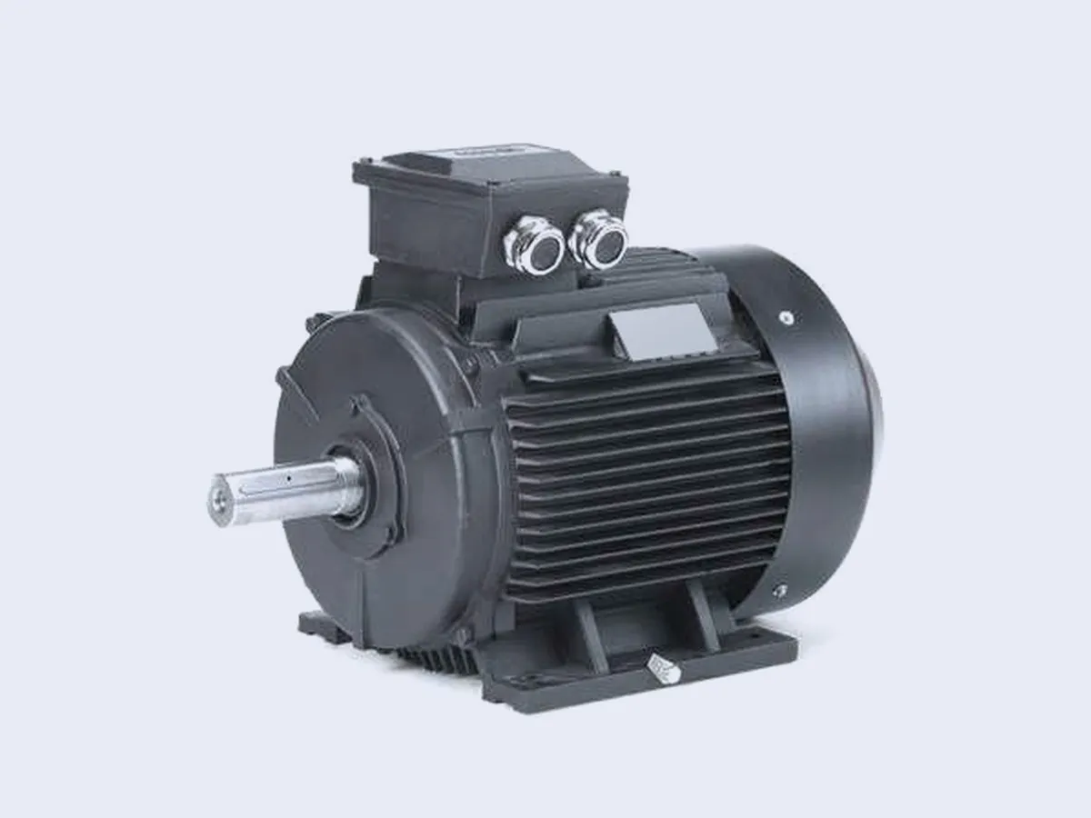 Foot-mounted cast iron three-phase motor with cable glands on the terminal box